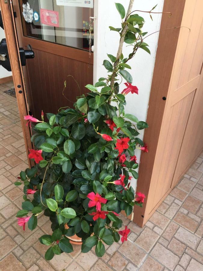 U' Fore B&B Relax Garden Noci Eksteriør bilde